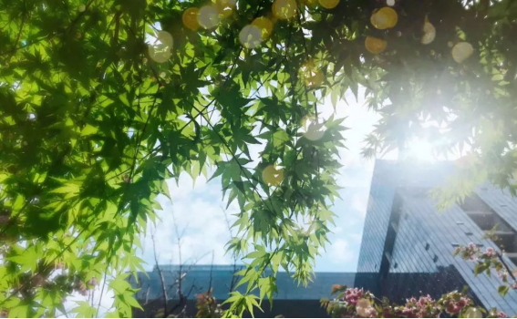 CC网投·(中国游)官方网站